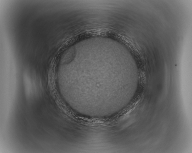 X0000116150913200911301537