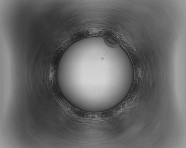 X0000116150914200911301537