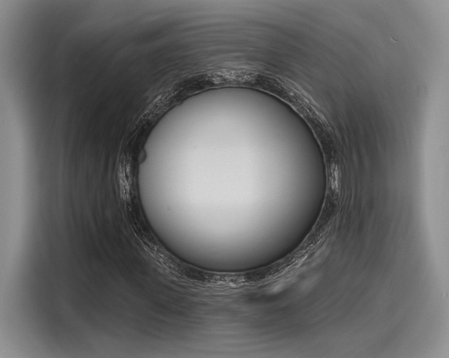 X0000116150915200911301537