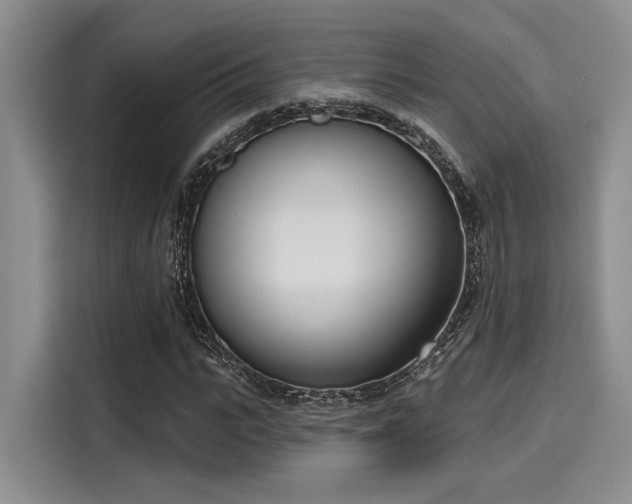 X0000116150919200911301537