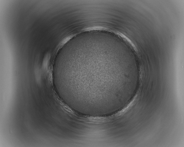 X0000116150921200911301537