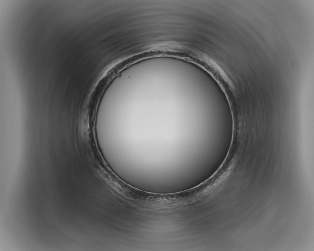 X0000116150923200911301538