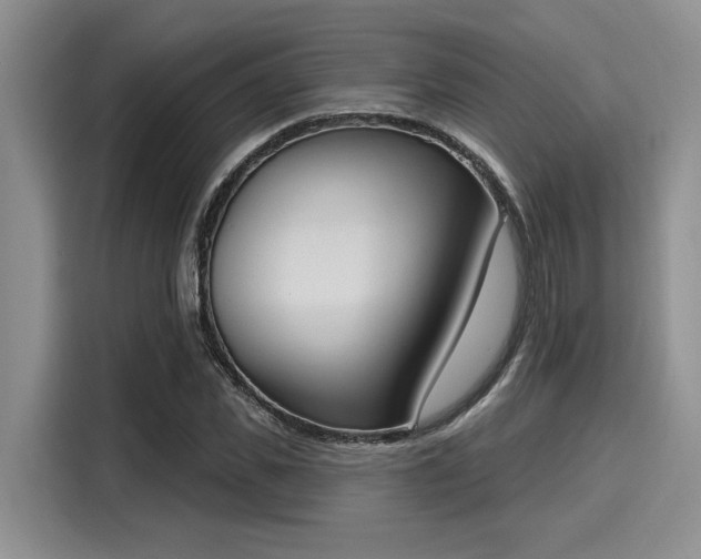 X0000116150925200911301538