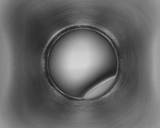 X0000116150926200911301538