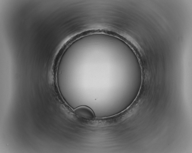 X0000116150927200911301538