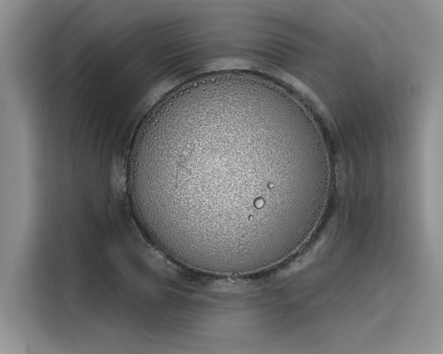 X0000116150929200911301538