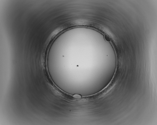 X0000116150930200911301538