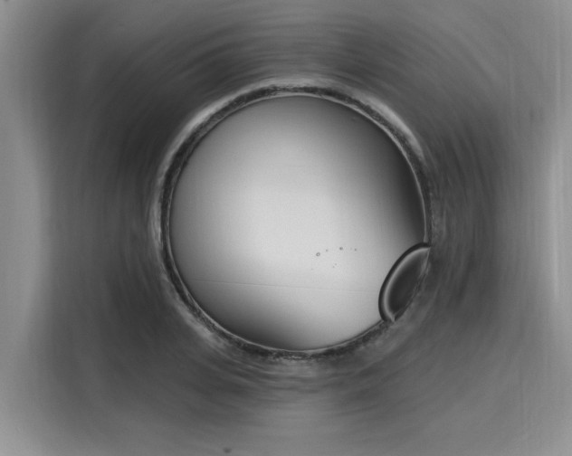 X0000116150935200911301538