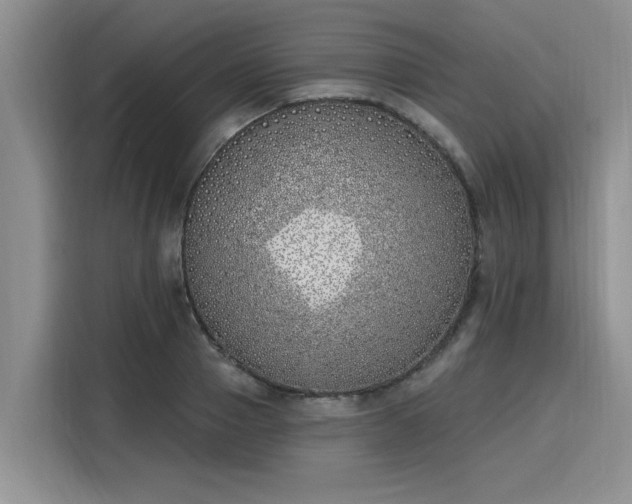 X0000116150937200911301538