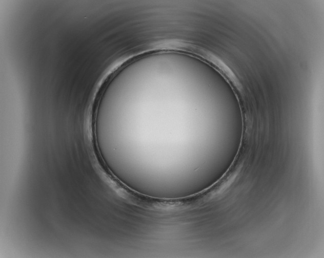 X0000116150939200911301538