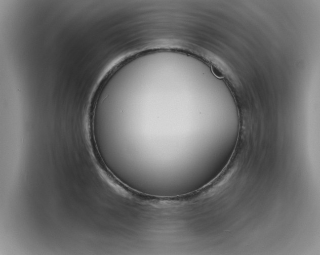 X0000116150942200911301538