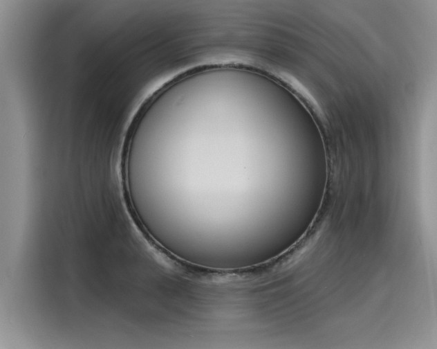 X0000116150943200911301538