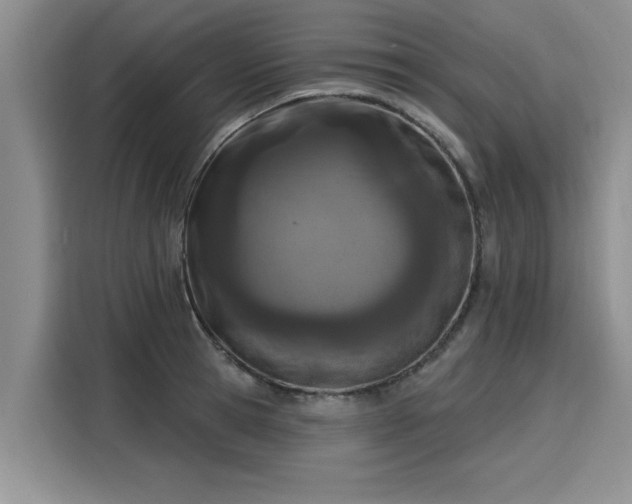 X0000116150945200911301538