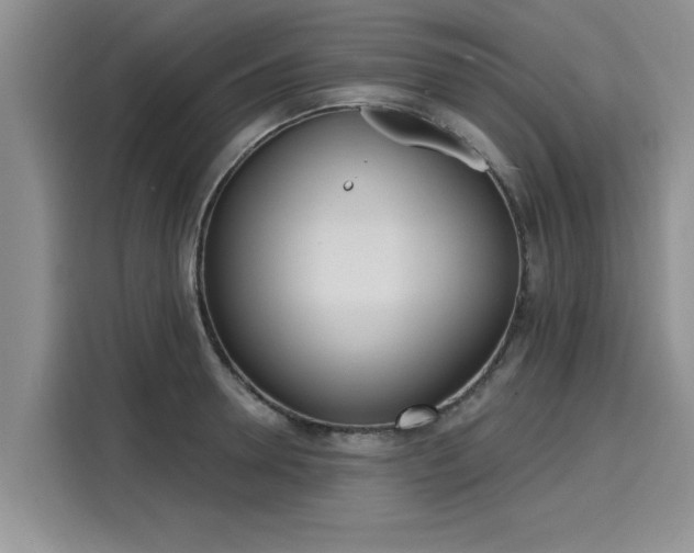 X0000116150946200911301538