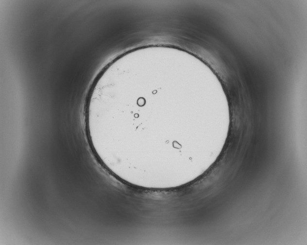 X0000116150950200911301538