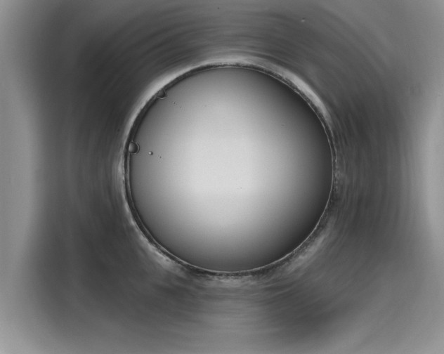 X0000116150951200911301538