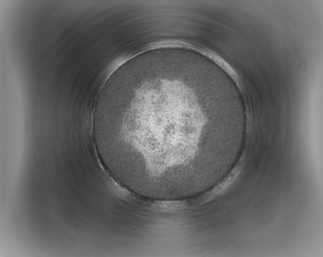 X0000116150953200911301538