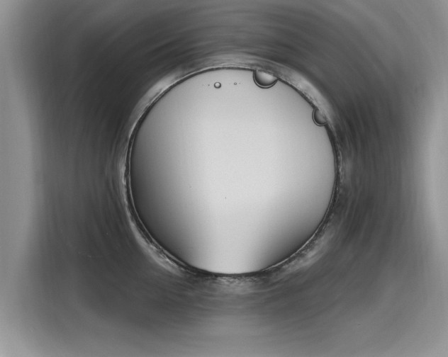 X0000116150954200911301538