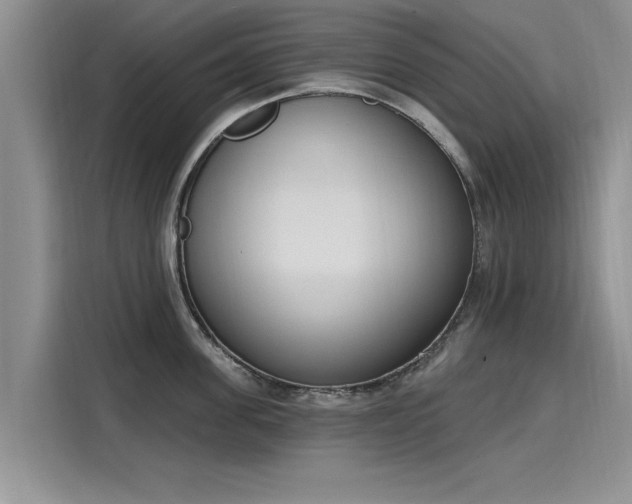 X0000116150955200911301538