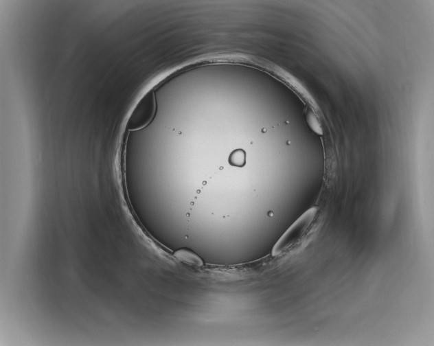 X0000116150959200911301538