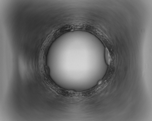 X0000116150961200911301537