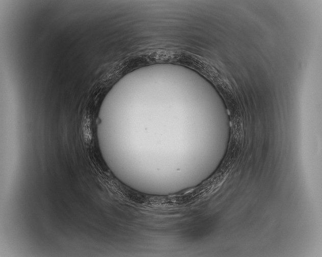 X0000116150962200911301537