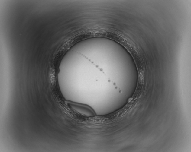 X0000116150963200911301537