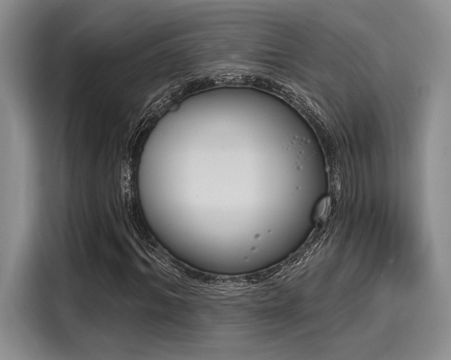 X0000116150964200911301537