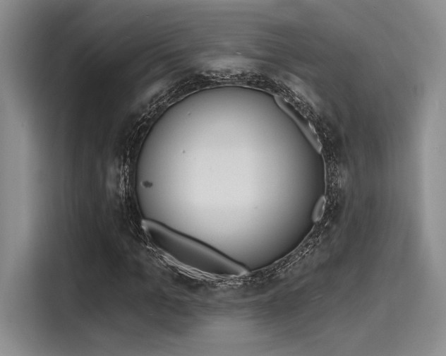 X0000116150965200911301537