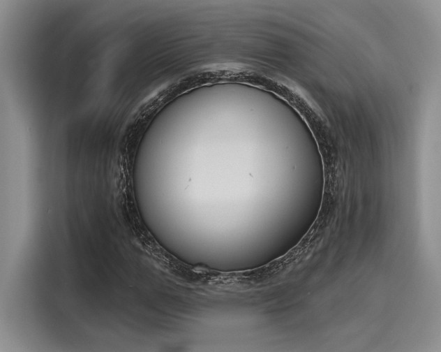 X0000116150967200911301537