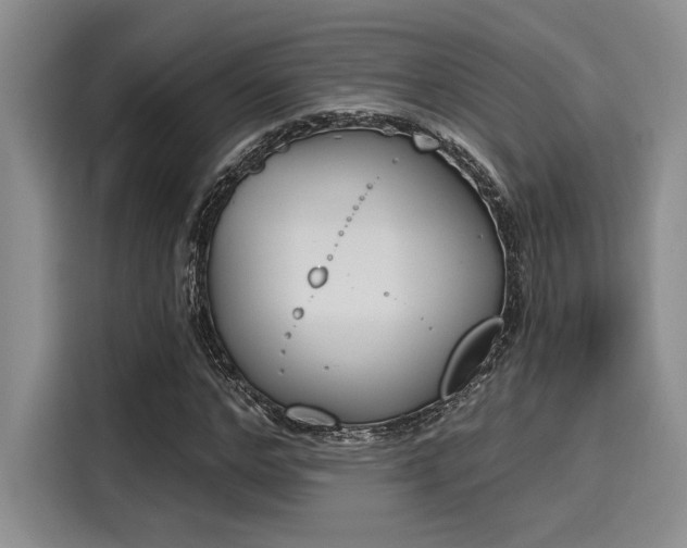 X0000116150968200911301537