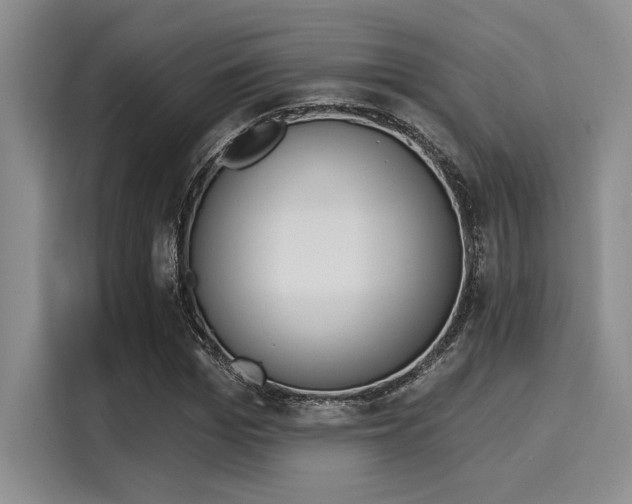 X0000116150969200911301537