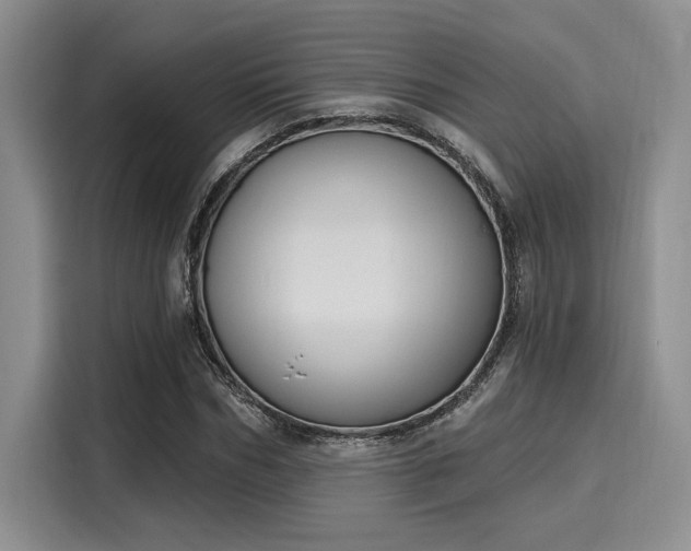 X0000116150970200911301537