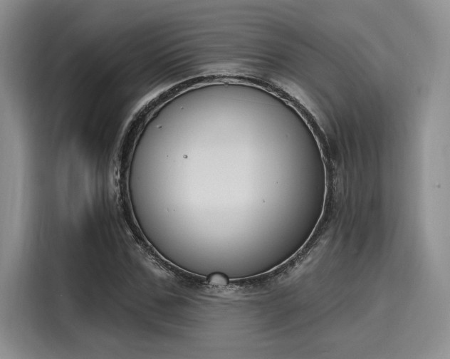 X0000116150971200911301537