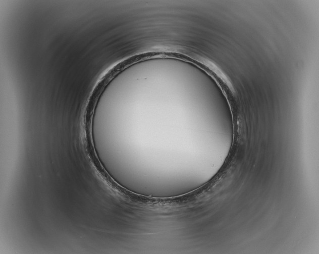 X0000116150972200911301537