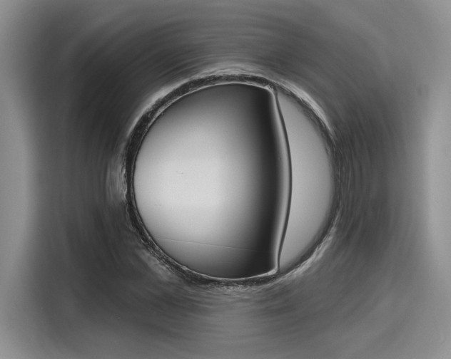 X0000116150973200911301537