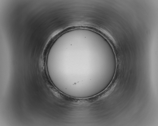 X0000116150974200911301537