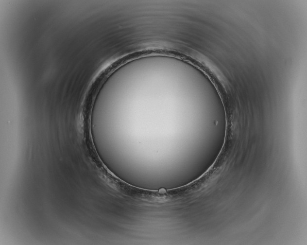 X0000116150975200911301537