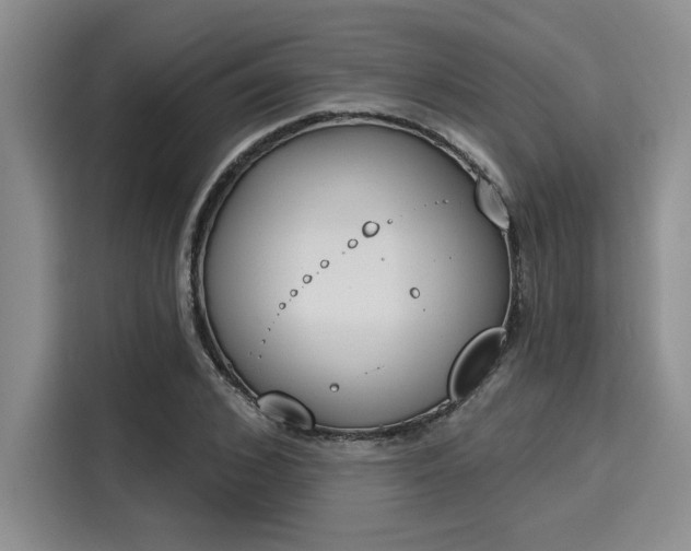 X0000116150976200911301537