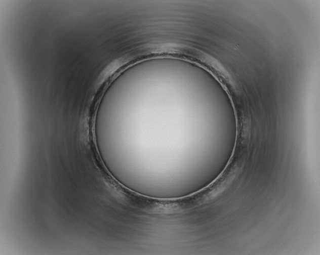 X0000116150978200911301537