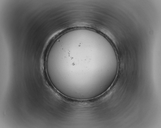 X0000116150979200911301537