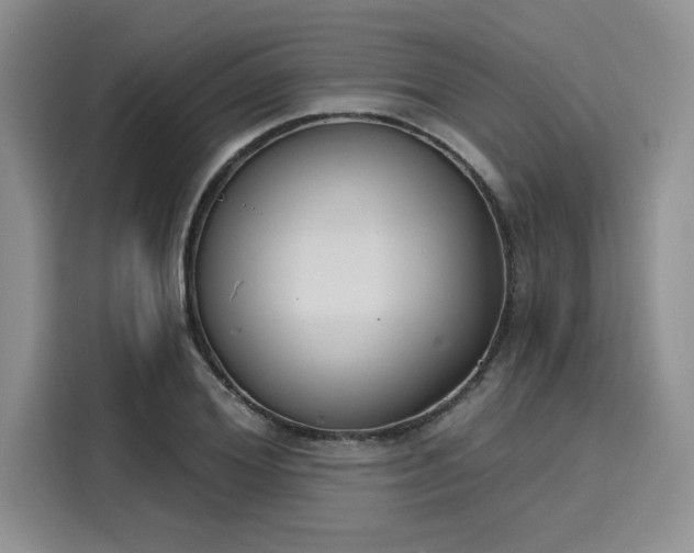 X0000116150980200911301537