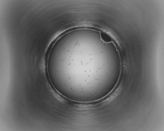 X0000116150981200911301537