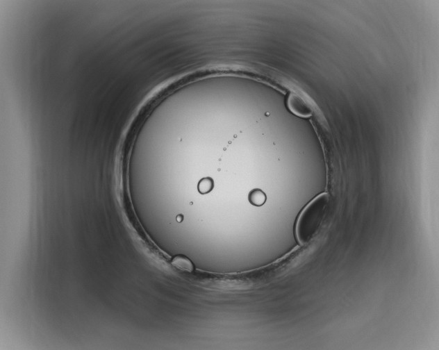 X0000116150984200911301537