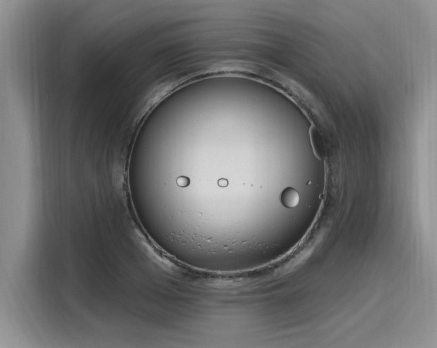 X0000116150985200911301537