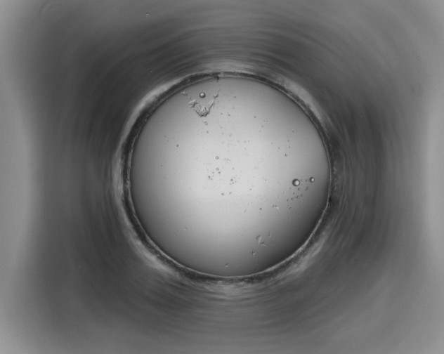 X0000116150987200911301537