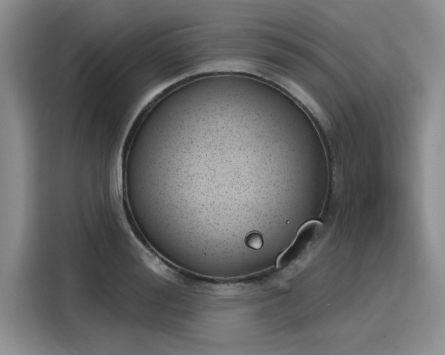 X0000116150988200911301537