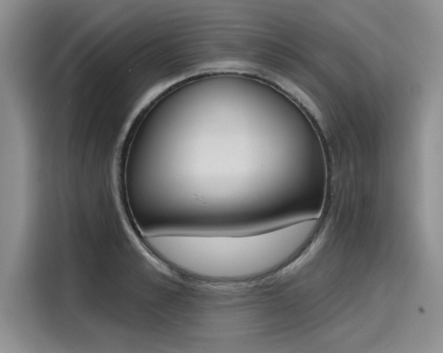 X0000116150989200911301537