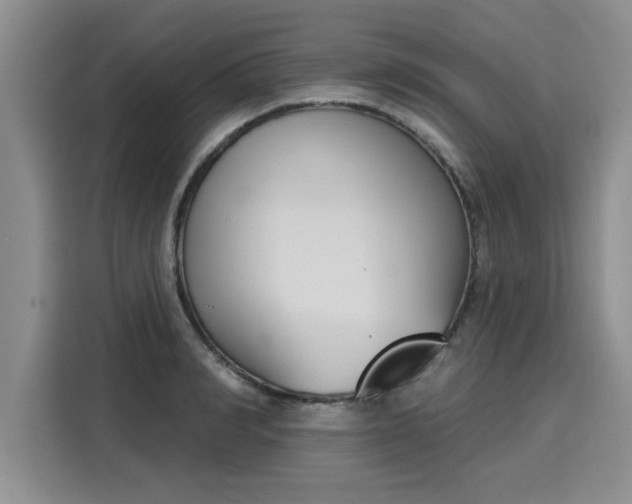 X0000116150990200911301537