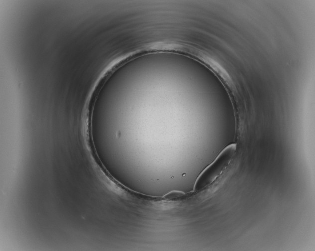 X0000116150992200911301537